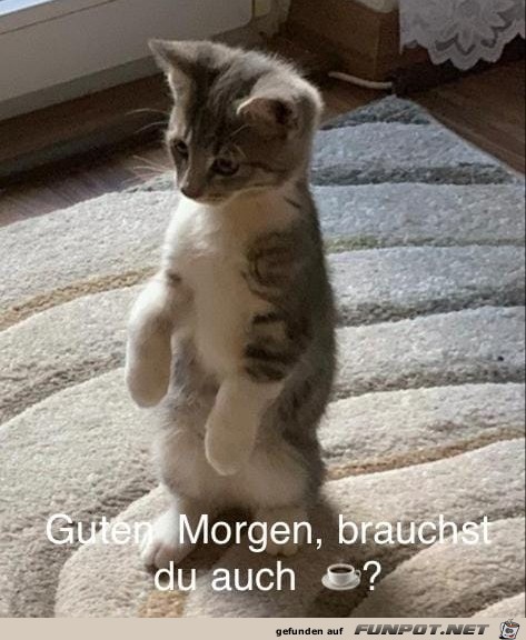 Guten Morgen