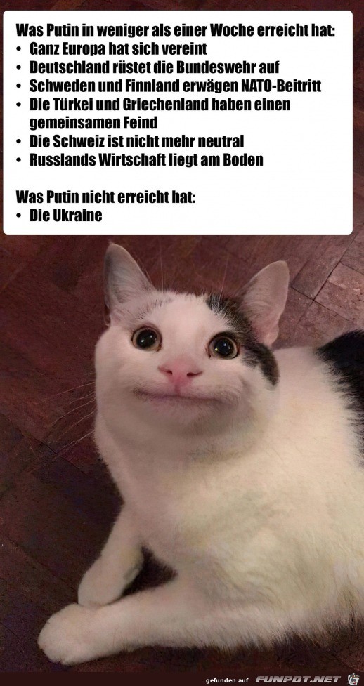 Putin hat einiges erreicht