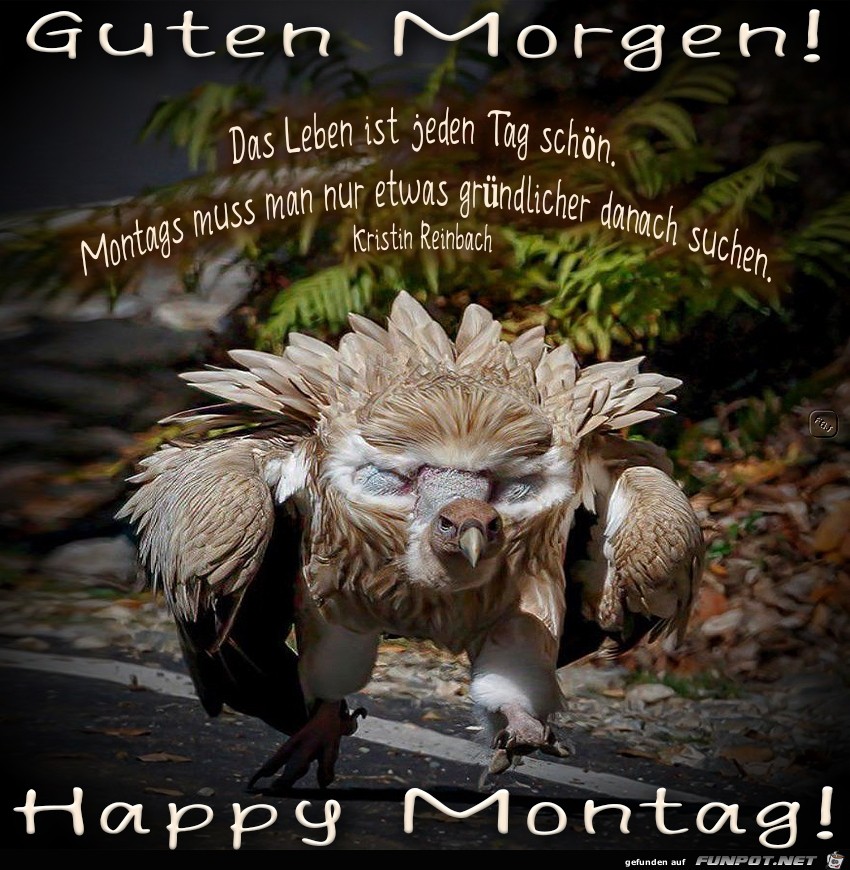 Montag