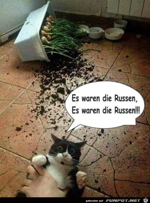 Ich war es nicht Ich war es nicht