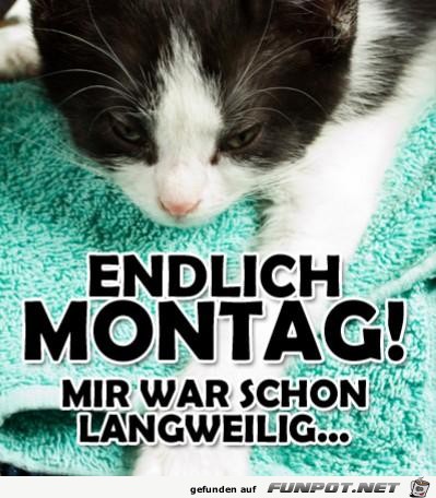 Endlich Montag