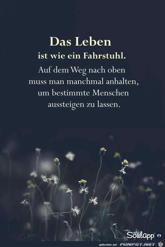 Das Leben ist wie ein Fahrstuhl Das Leben ist wie ein Fahrstuhl