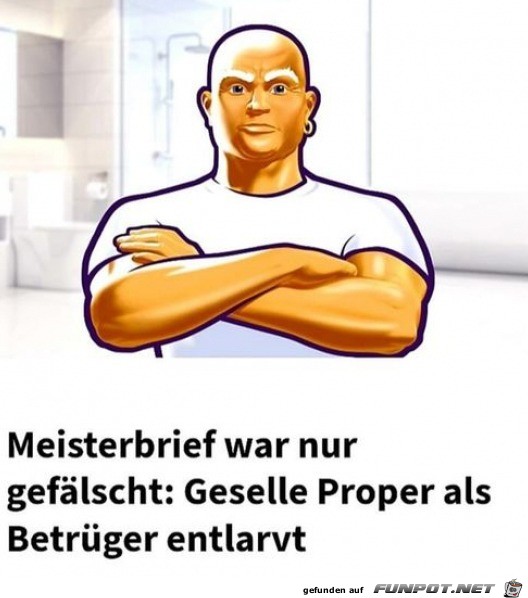 Meisterbrief geflscht