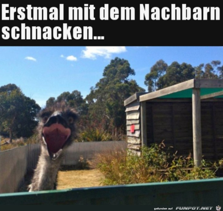 Hallchen Nachbarn