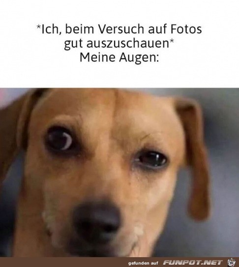 Ich immer auf Fotos