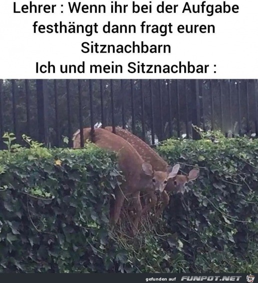 Sitznachbar hngt auch fest