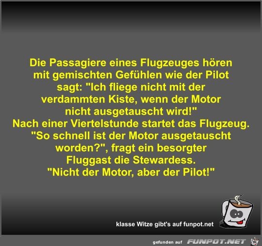 Die Passagiere eines Flugzeuges hren mit gemischten...