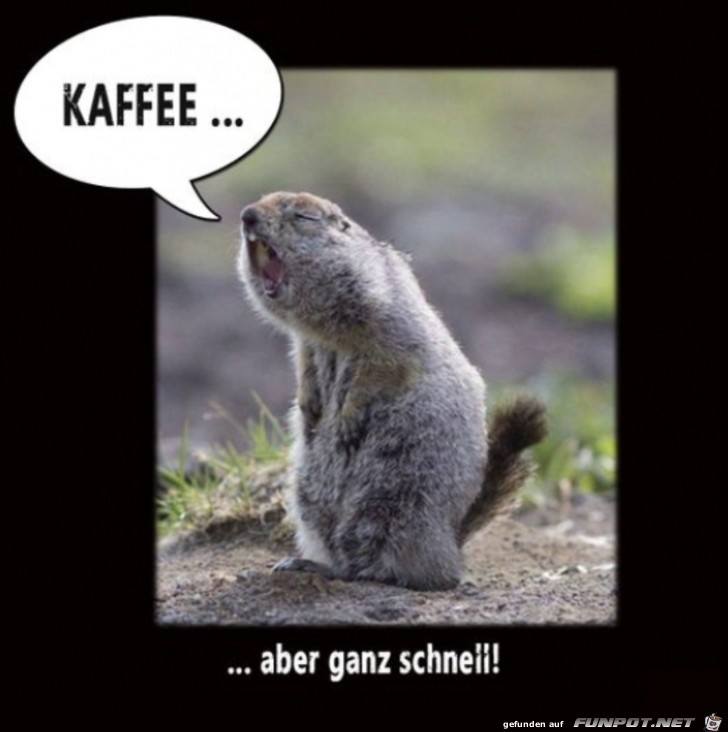 Kaffee schnell