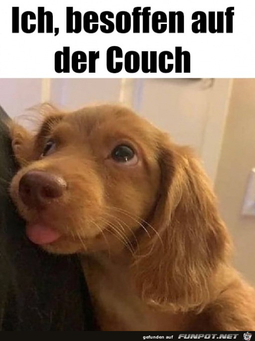 Besoffen auf der Couch