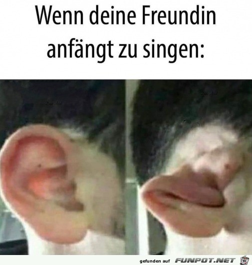 Ohren zu machen