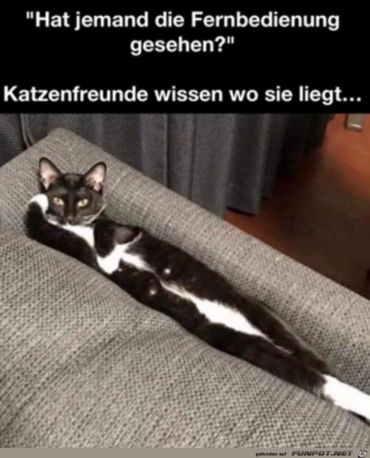 Wo ist die Fernbedienung?