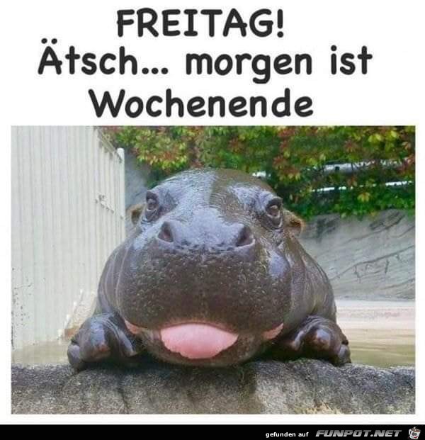 Freitag