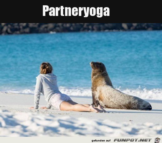 Gemeinsam Yoga machen