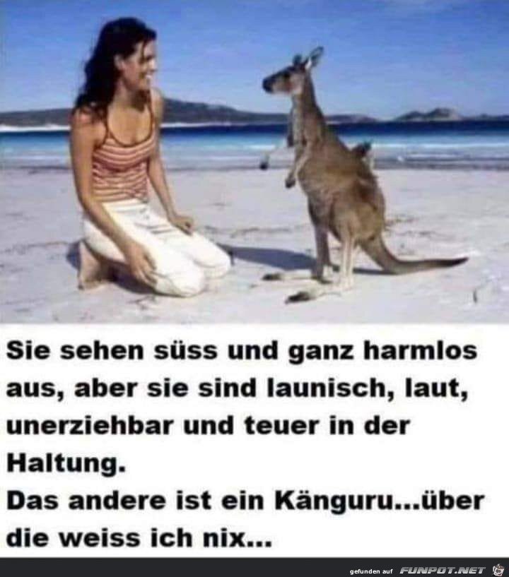 Sss und Harmlos