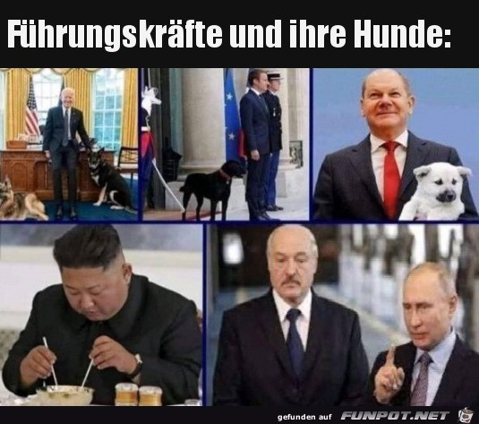 Politiker und ihre Hunde