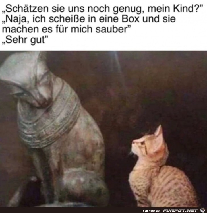 Luft noch bei den Katzen