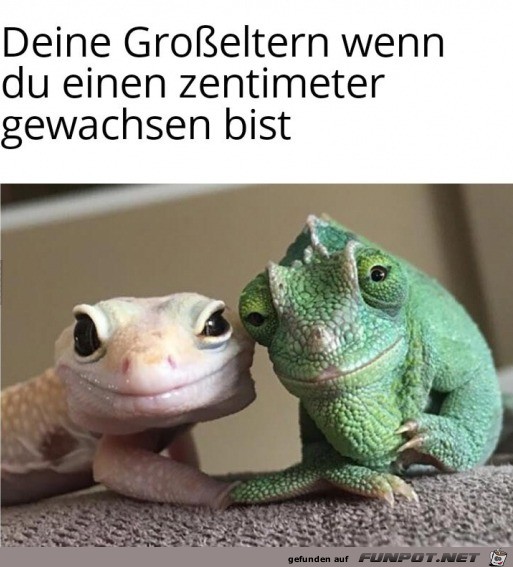 Bist du gro geworden