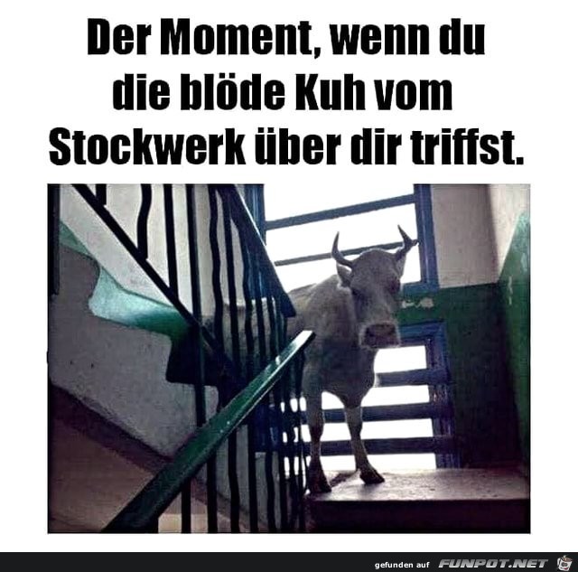 Der Moment