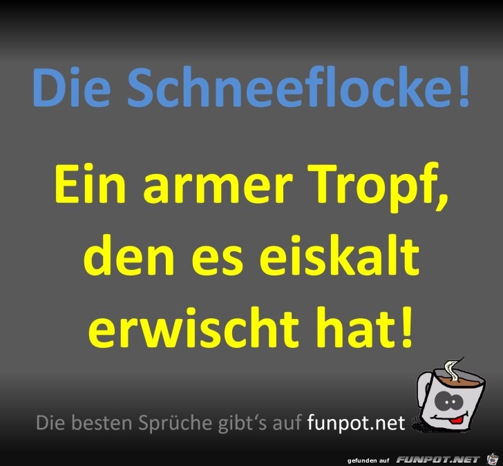 Die Schneeflocke