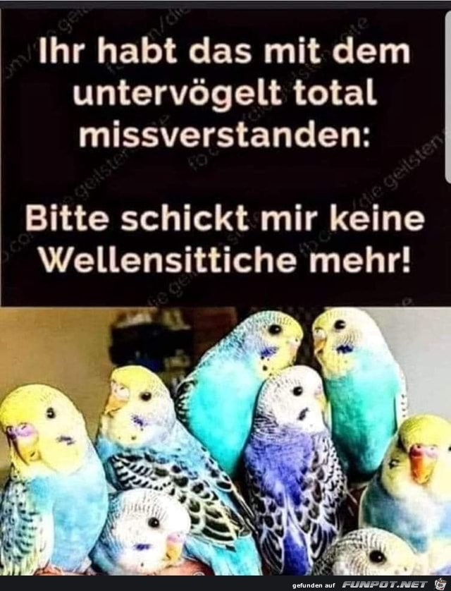 witzige Bilder aus verschiedenen Blogs