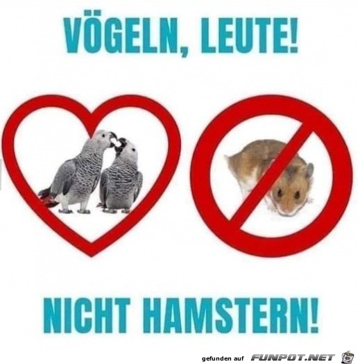 Nicht hamstern