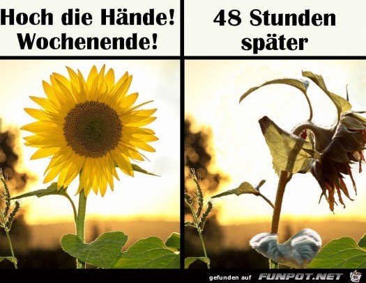 Wochenende ist zu schnell durch