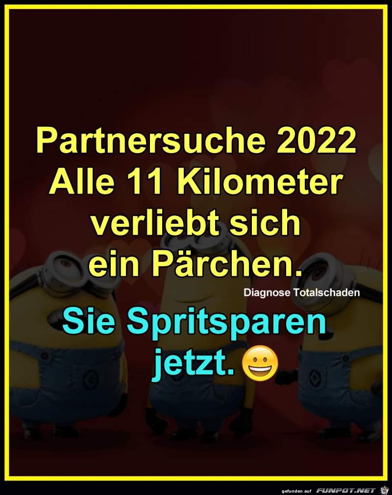 Partnersuche