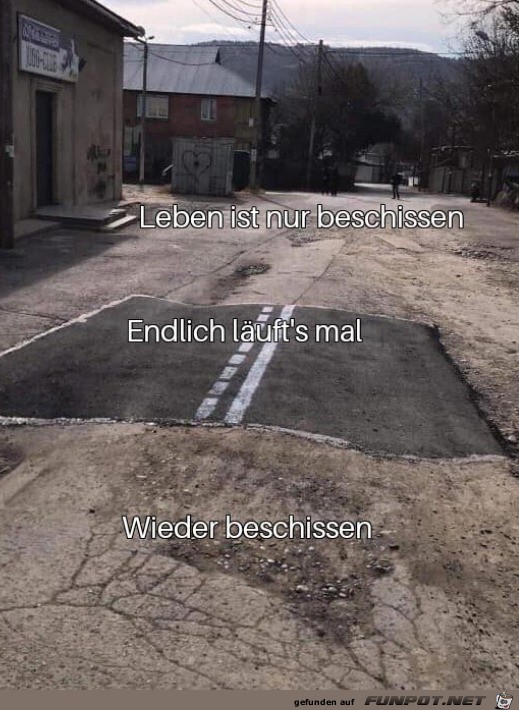 Das Leben