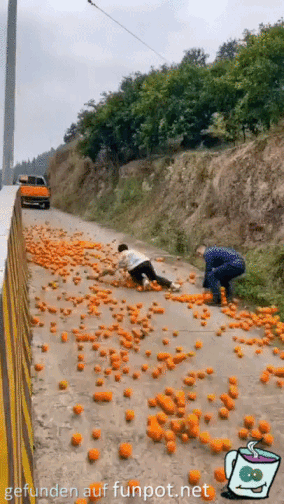 Die schnen Orangen