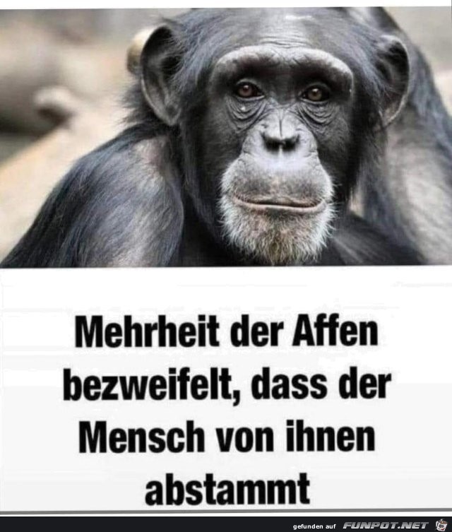 Mehrheit