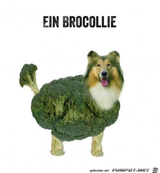 Brokkoli mal anders