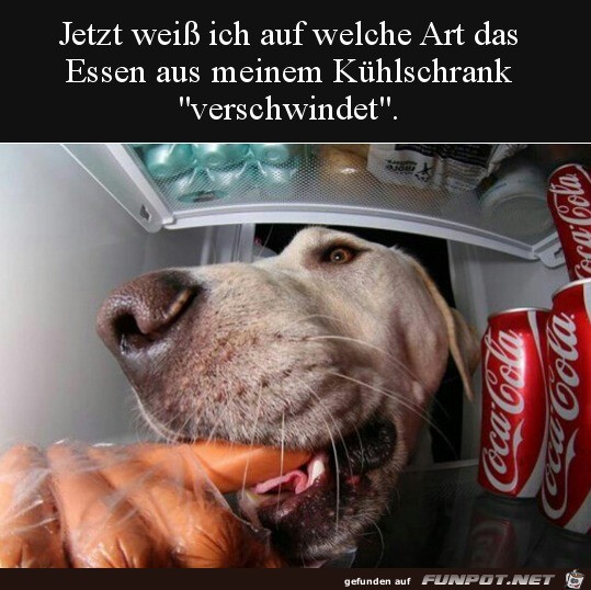 Diebischer Hund