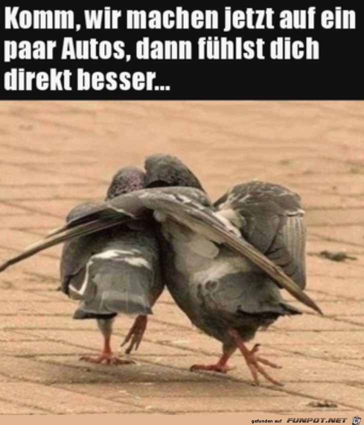 Auf die Autos machen