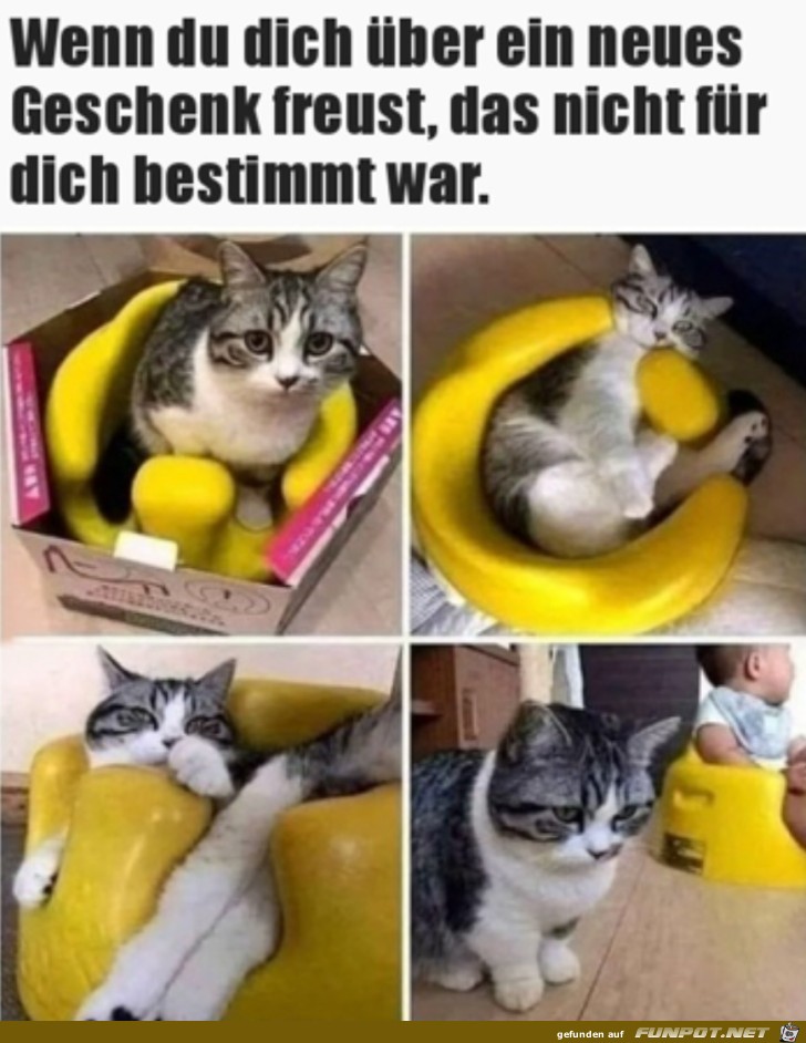 Tolles Geschenk