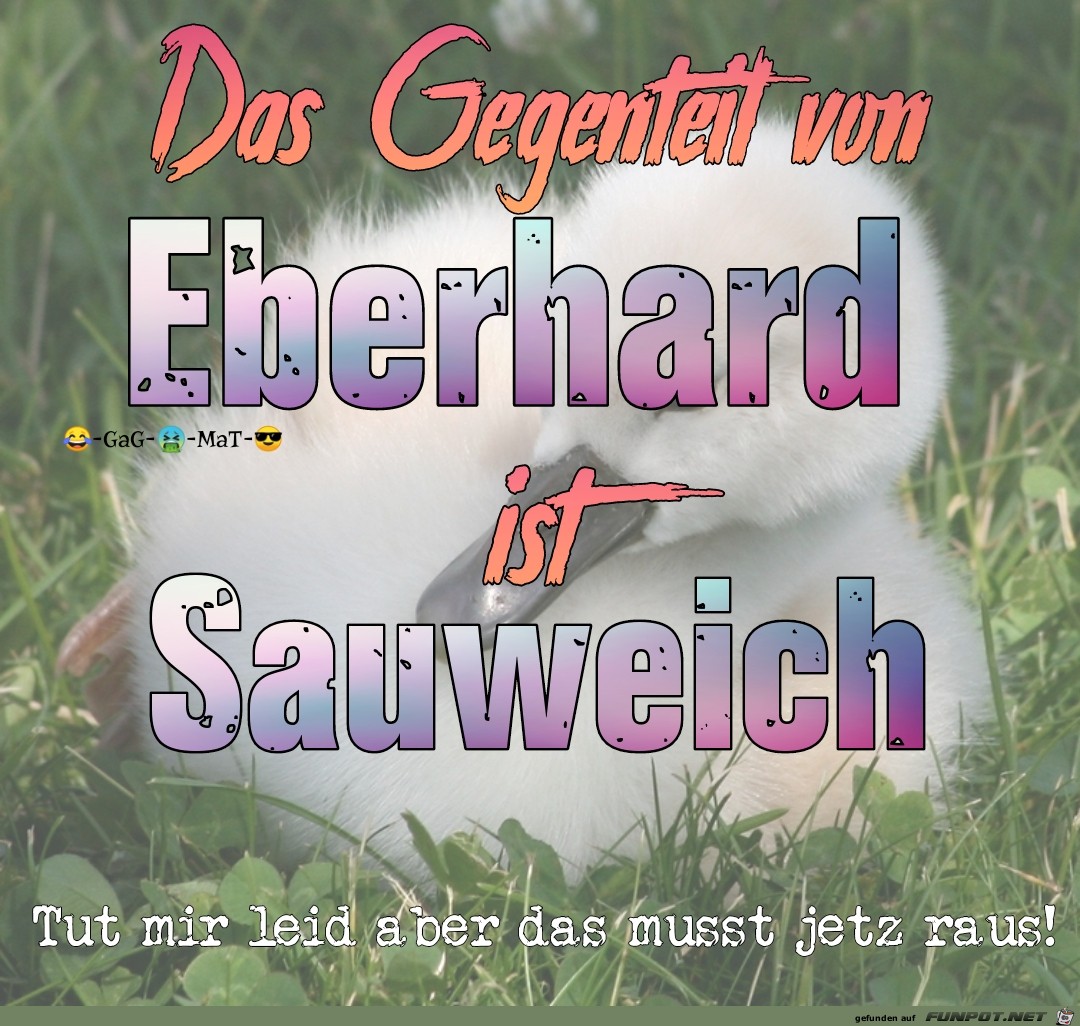 Sauweich