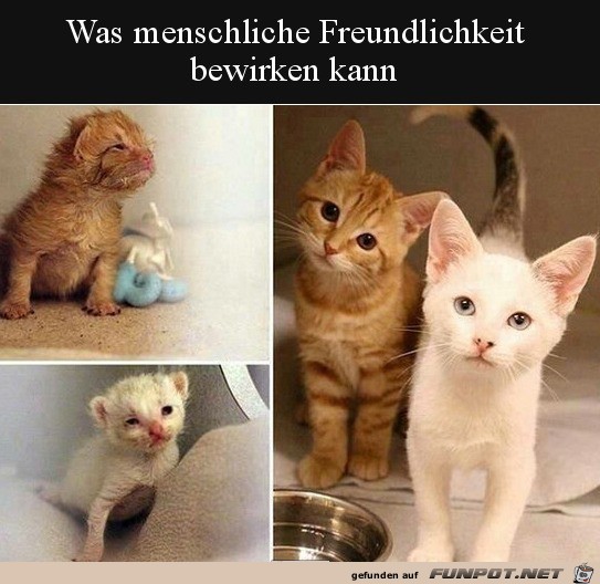 Menschliche Freundlichkeit