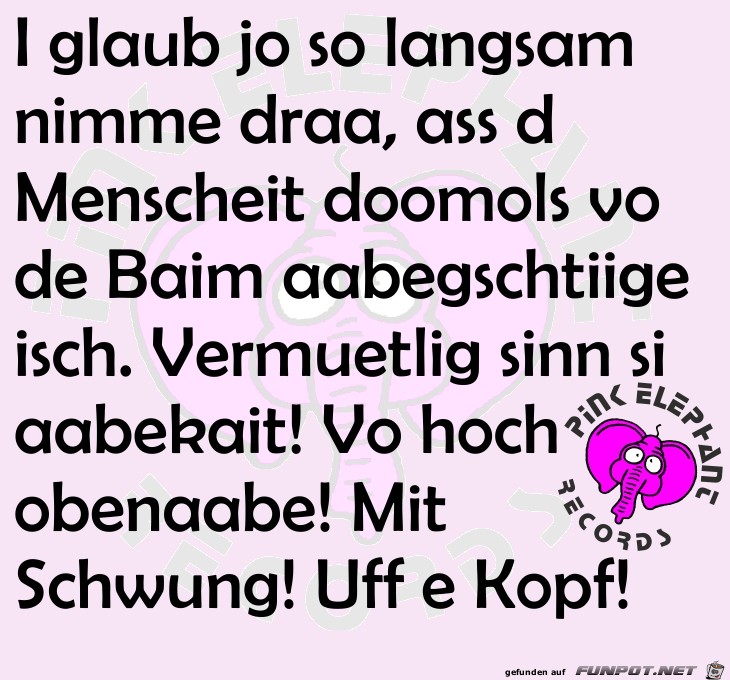 uff e Kopf