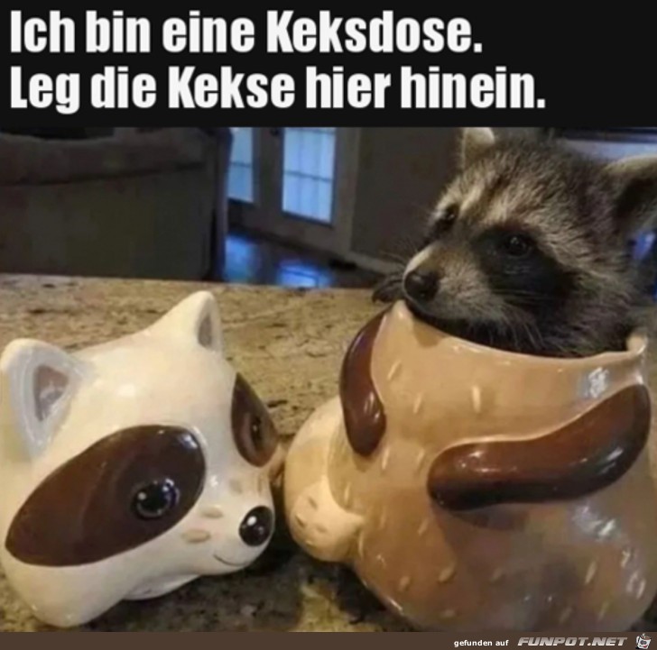 Die Keksdose