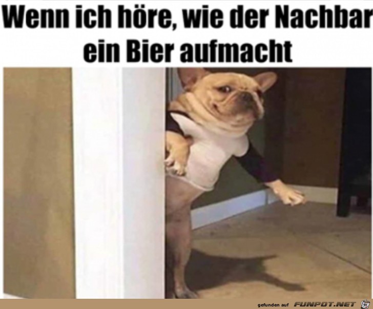 Ich hab da was gehrt