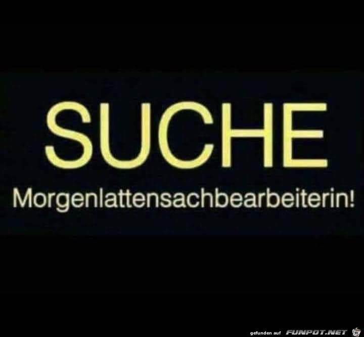 Suche