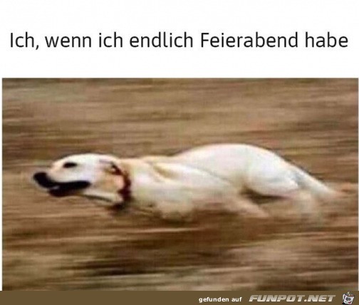 Endlich Feierabend