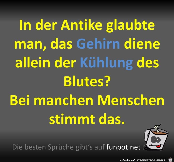 Das Gehirn