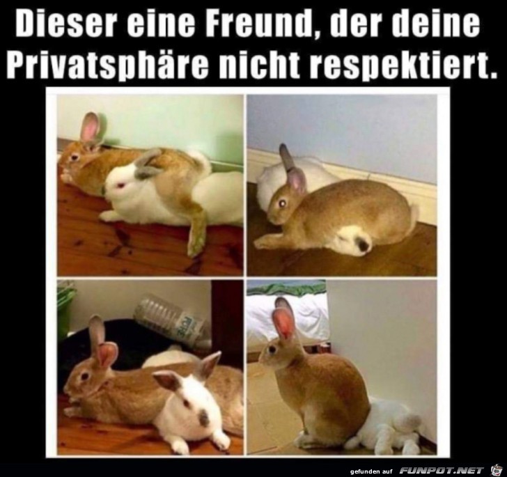 Aufdringlicher Freund