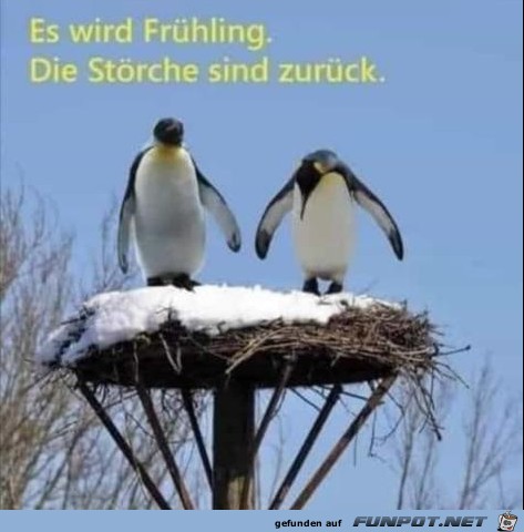 Strche sind zurck