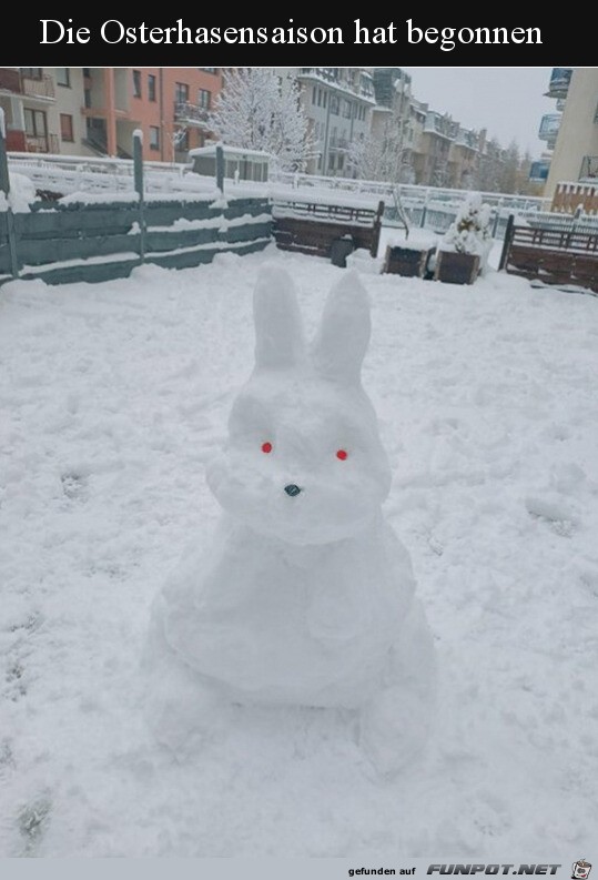 Schnee-Hase
