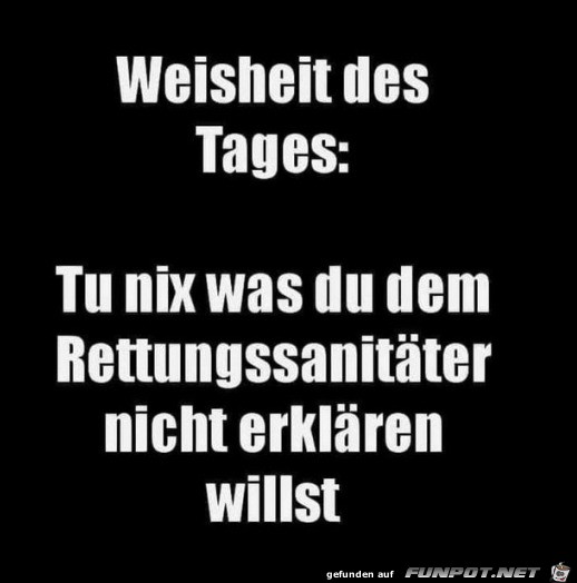 Weisheit des Tages