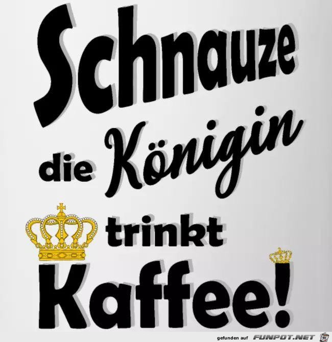 Schnauze Schnauze