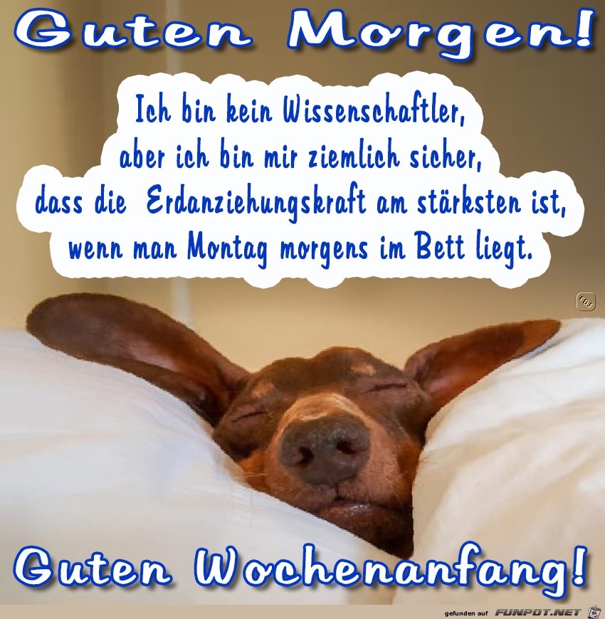 Montag