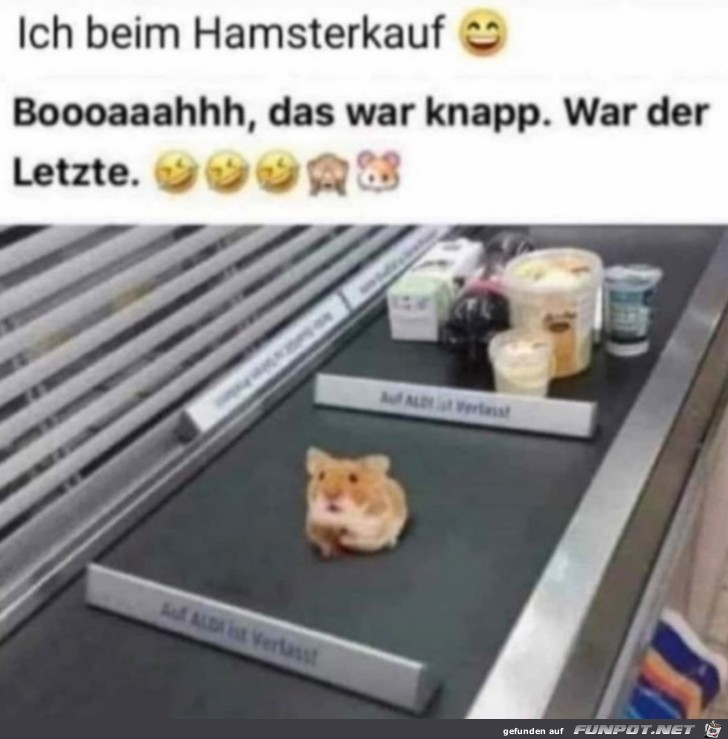 Letzten Hamster bekommen