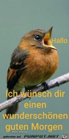 Hallo ich wnsche dir